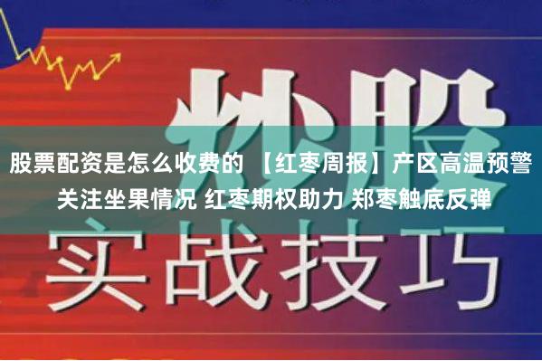 股票配资是怎么收费的 【红枣周报】产区高温预警 关注坐果情况 红枣期权助力 郑枣触底反弹